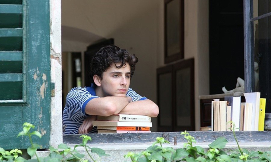 《Call Me by Your Name》著作续集《Find Me》即将发布