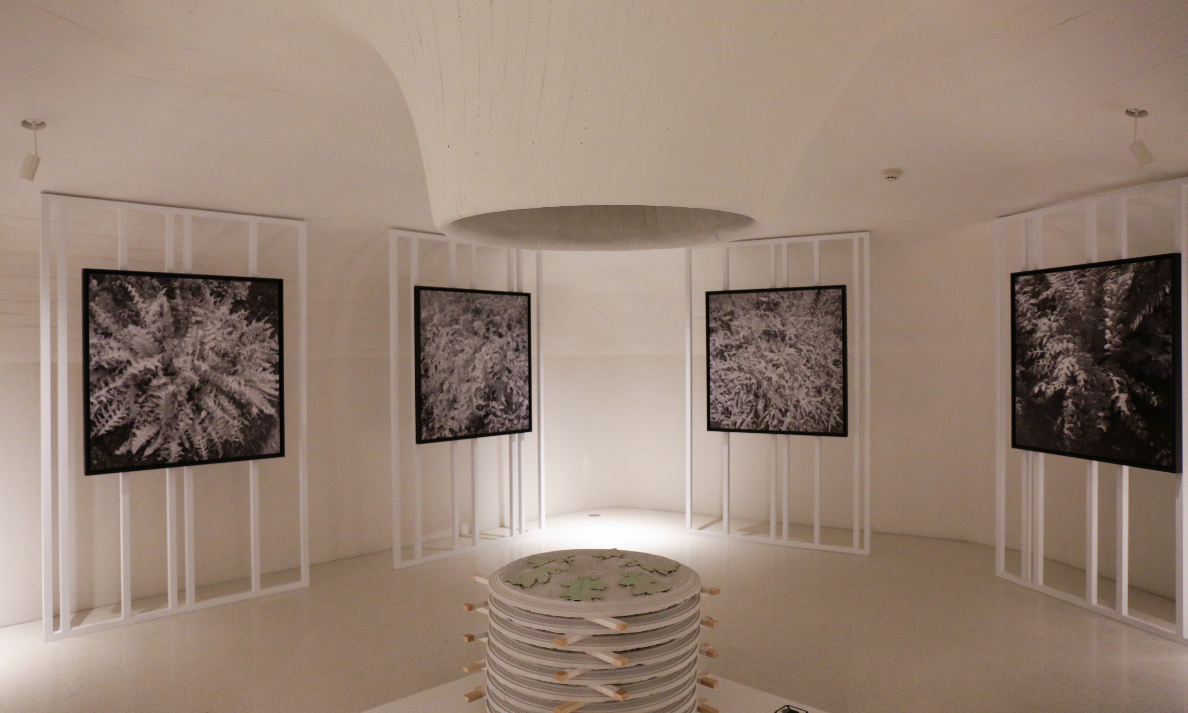 ucca 分馆——ucca 沙丘美术馆正式成立,同时带来首展 "后自然" –