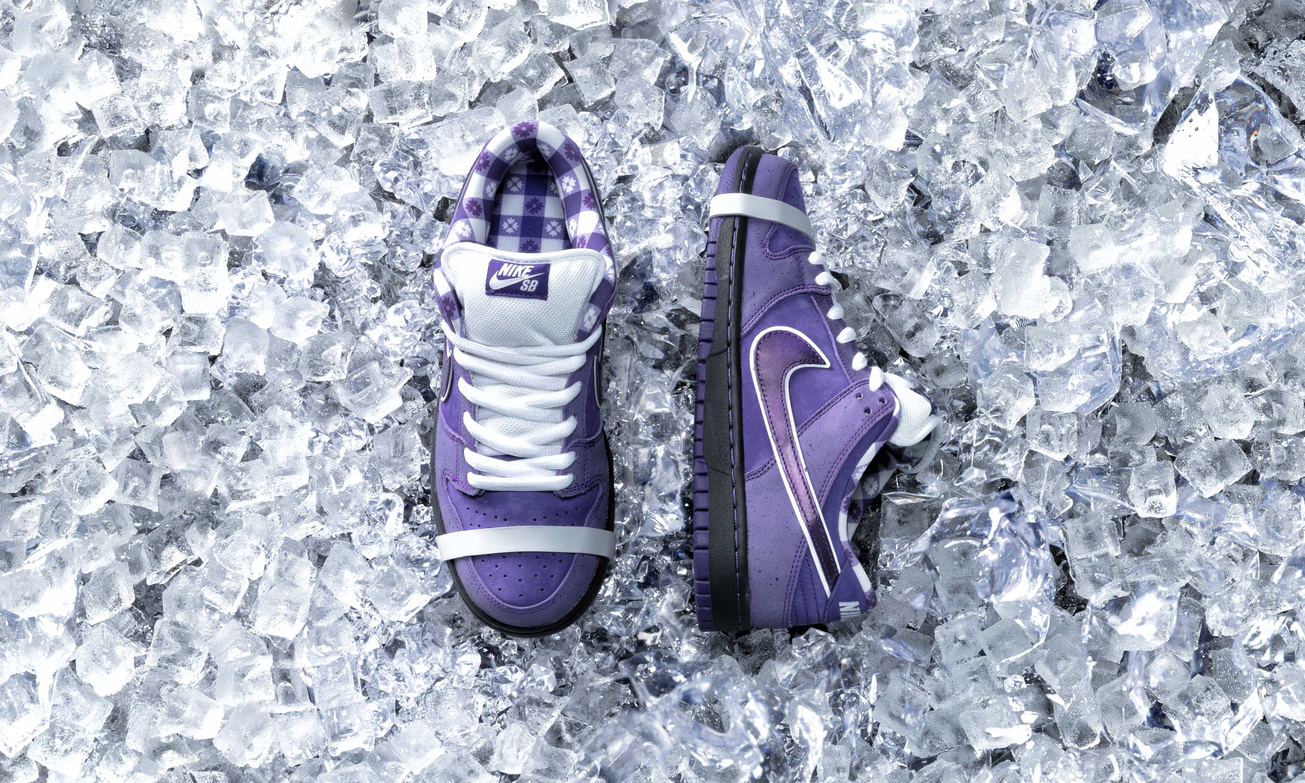 "紫龙虾"来了!concepts x nike sb dunk"purple lobster 正式发布